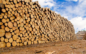 Мярка 8.6 Инвестиции в технологии за лесовъдство и в преработката, мобилизирането и търговията на горски продукти
