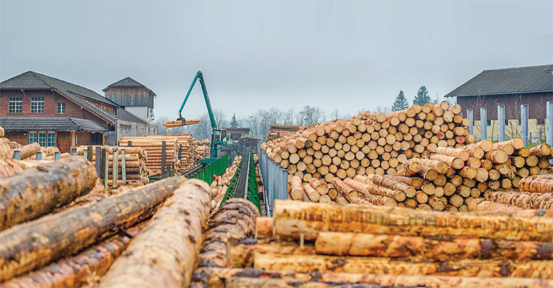Стартира мярка 8.6 Инвестиции в технологии за лесовъдство и в преработката, мобилизирането и търговията на горски продукти